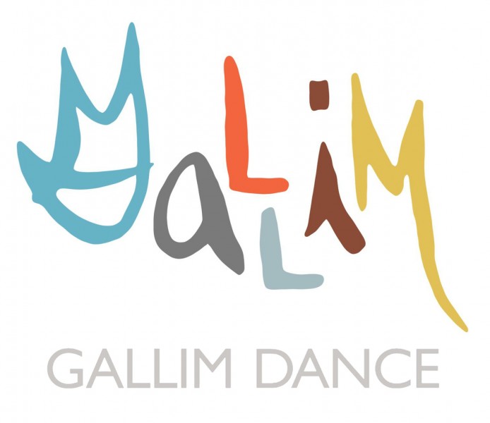Gallim Dance | Graphic Design and Social Media Intern