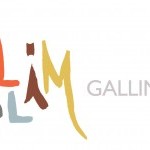 Gallim Dance seeks Community Affairs and Development Manager
