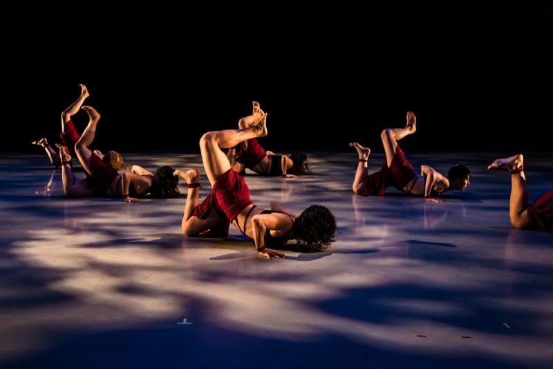 Audition: looking for professional level male and female contemporary dancers with strong technique