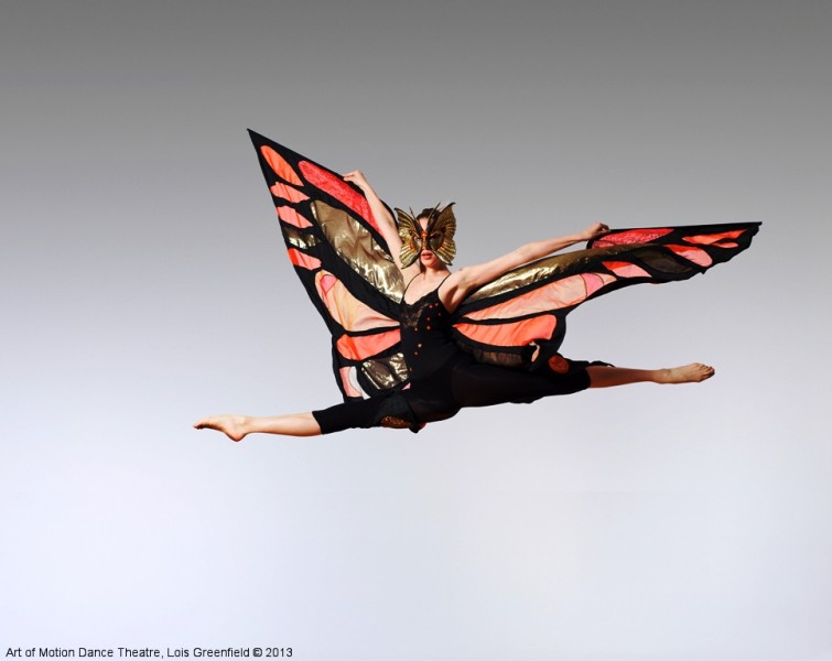 Art of Motion Dance Theatre