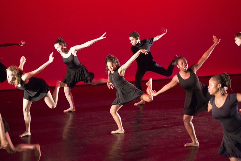 Dancewave Company II Coach