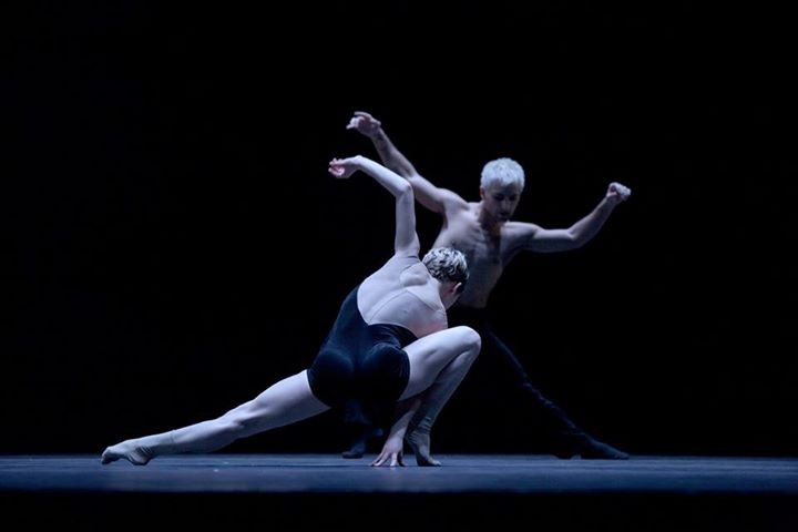 NORTHWEST DANCE PROJECT COMPANY AUDITION - SEP 6 + 7