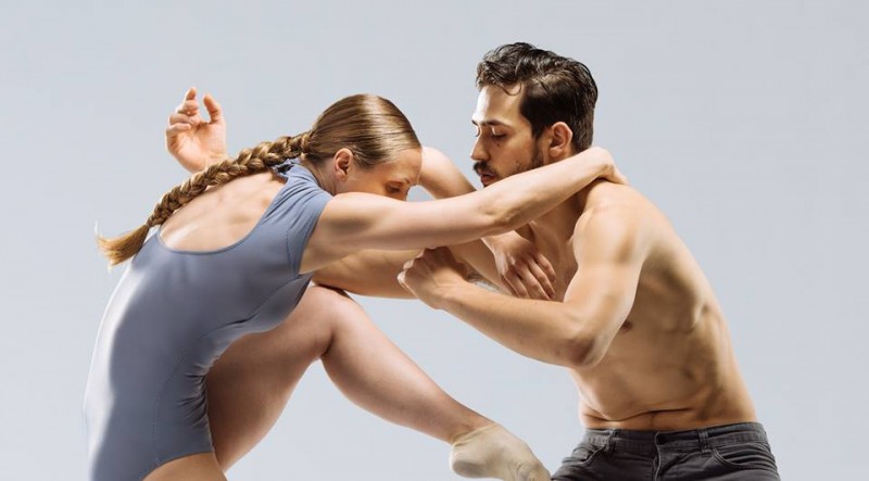 NW DANCE PROJECT - OPEN COMPANY POSITIONS