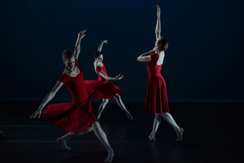 Lydia Johnson Dance - Company Audition