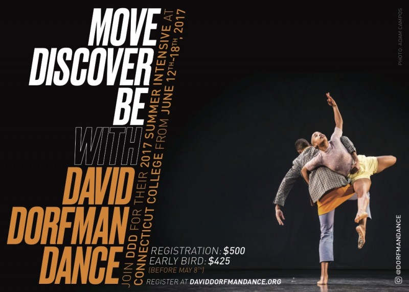 DDD Summer Intensive flyer