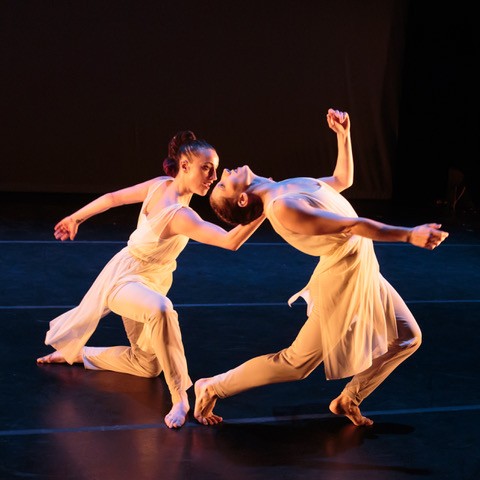 Ariel Grossman's "Ori"