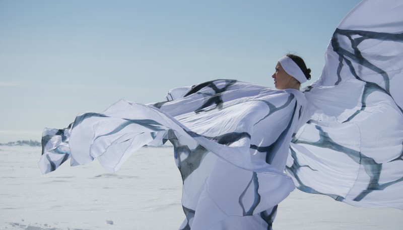 Time Lapse Dance Seeks Intern 