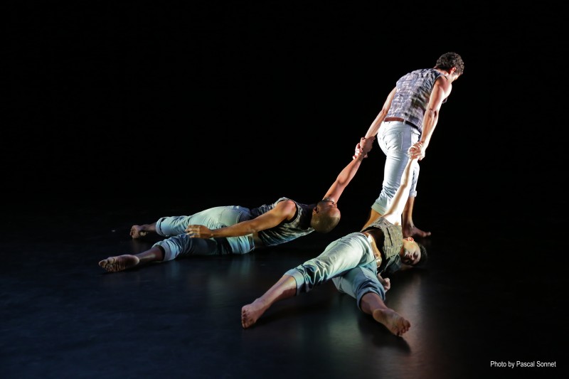 Elisa Monte Dance Male Audition