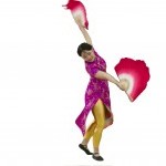 Seeking Cultural/World Dance Companies and Performers for Festival