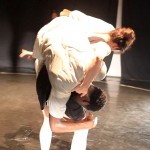 conference of the birds photo