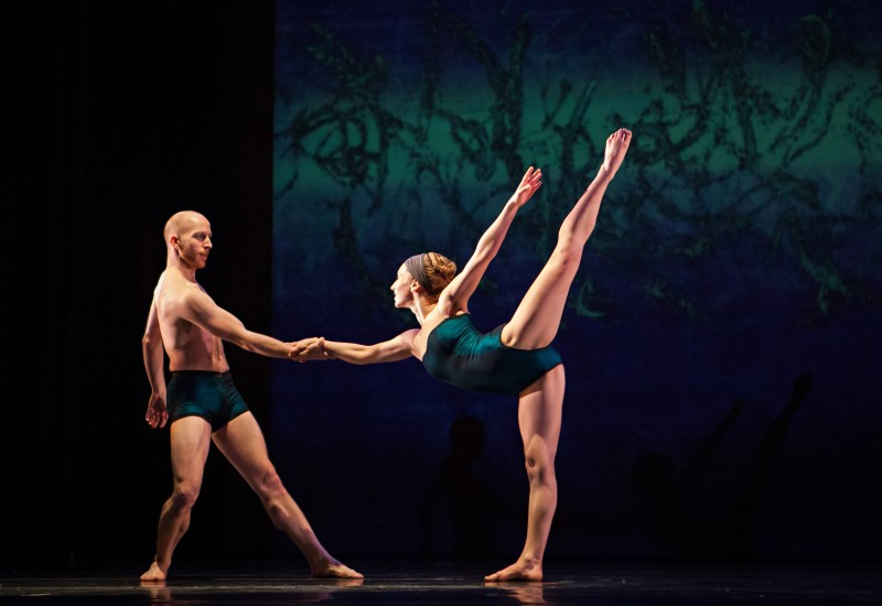 RIOULT Dance NY MALE AUDITIONS!