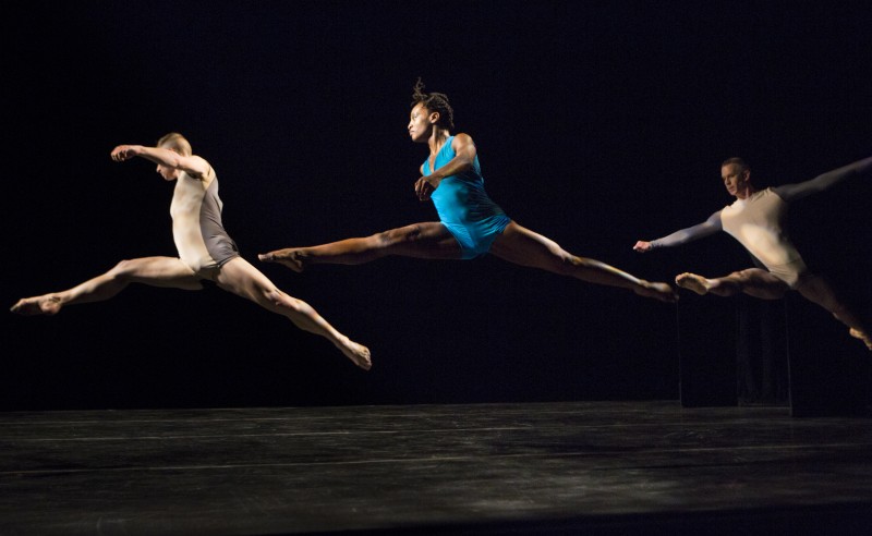 Stephen Petronio Company
