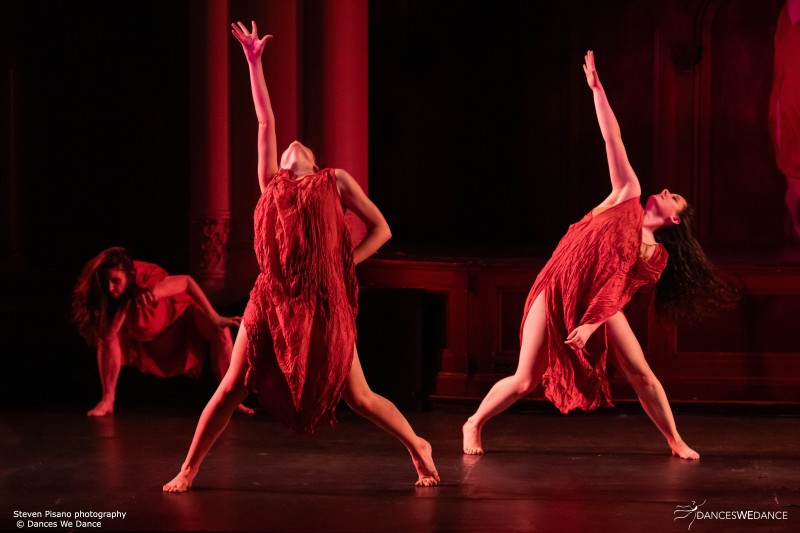 Dances We Dance_workshops