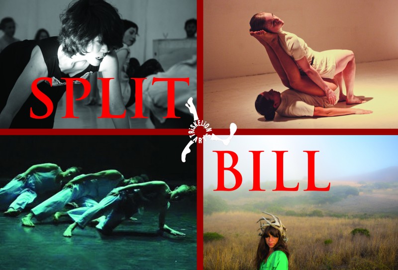 Apply for Split Bill at Triskelion Arts