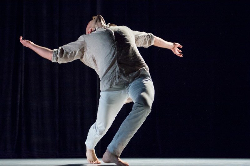 DanceTheYard photo by Sally Cohn