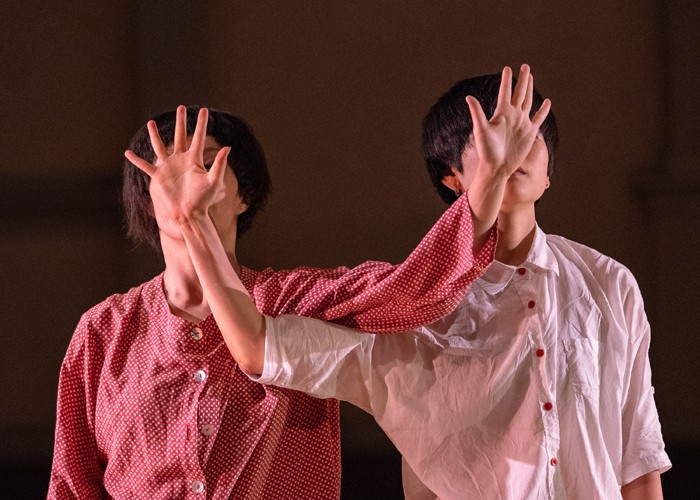 Photo by Steven Pisano