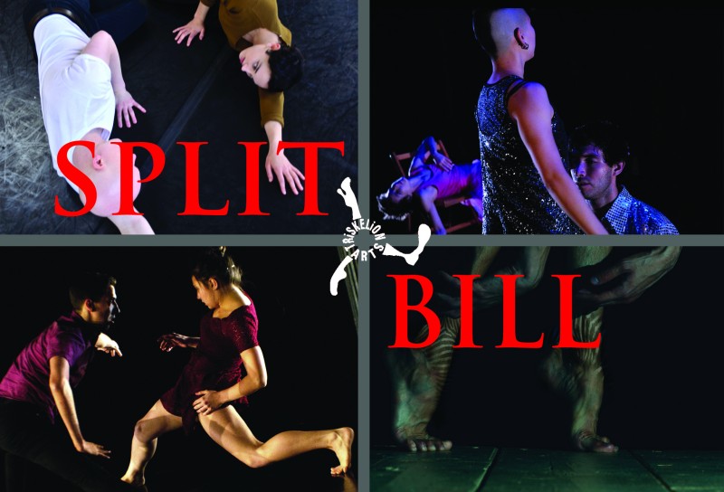 Apply for Split Bill at Triskelion Arts