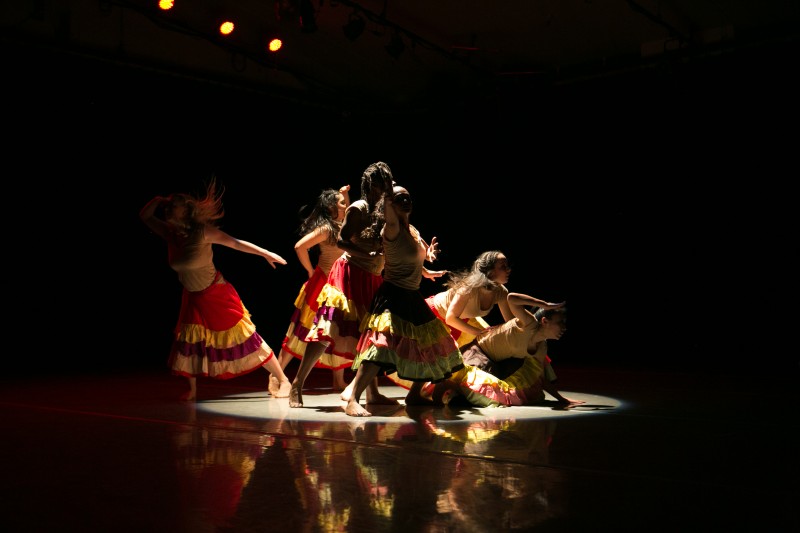 Silva Dance Company seeking  strong Male and Female Dancers