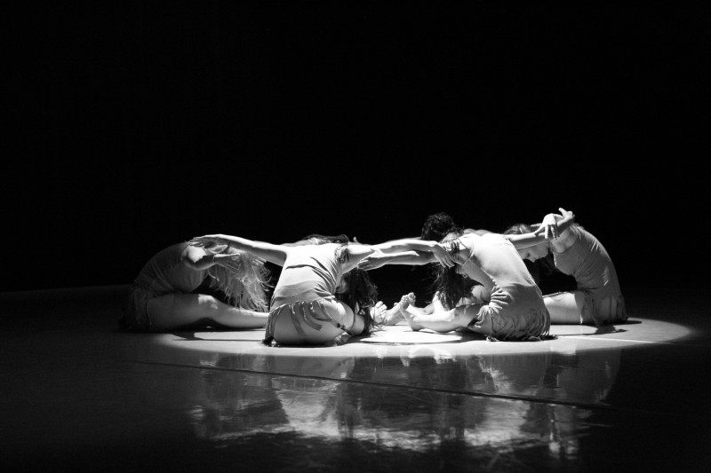 Silva Dance Company seeking  strong Male and Female Dancers