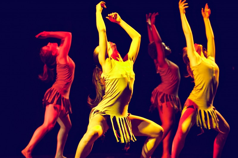 Silva Dance Company seeking  strong Male and Female Dancers
