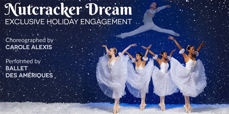 Nutcracker Dream Poster
