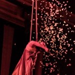 A performer on a trapeze with falling rose petals around them
