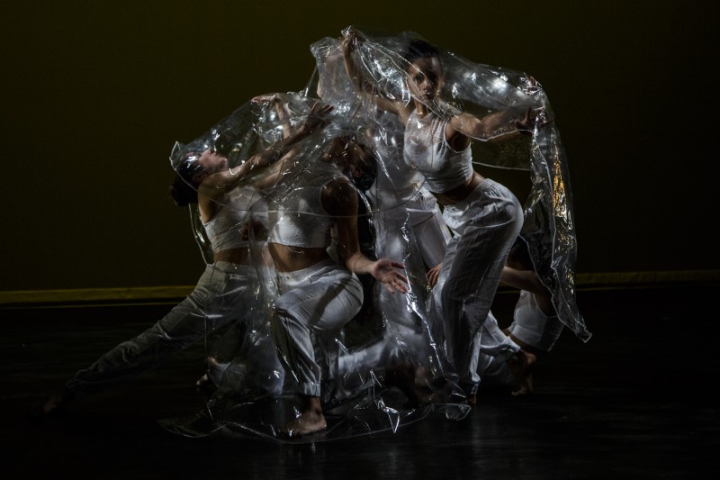 Born Within at Ailey Citigroup Theater