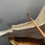 The Circle or Prophetic Dream is anthropological research on how the body and sound inhabit social space as new forms of nomadis