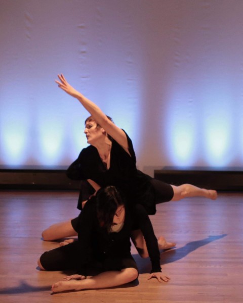 Drye/Marinaro Dance Company Seeking Male/female Modern Dancers