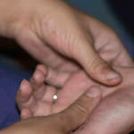 Bodywork Practitioner Open Call 