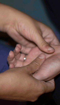 Bodywork Practitioner Open Call 