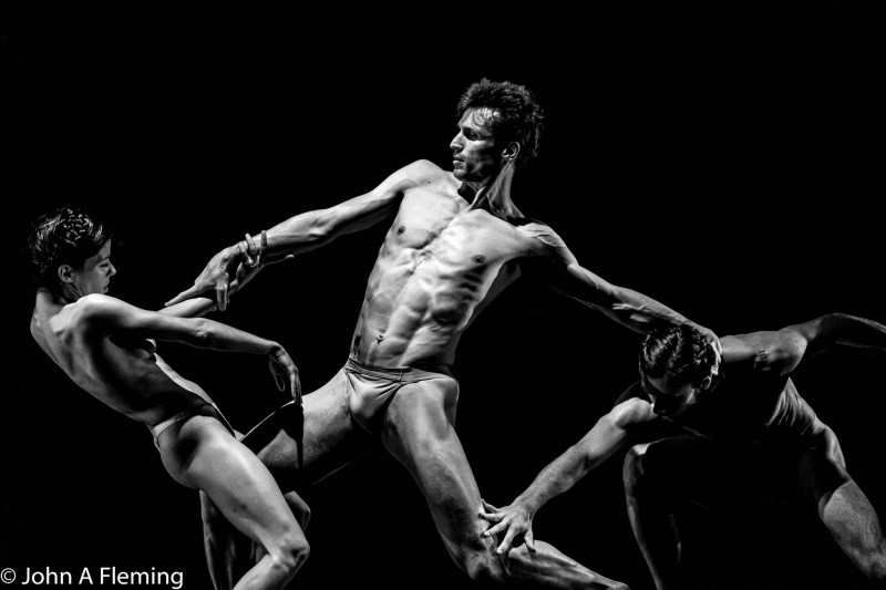 KoDaFe in NYC Competition winner 