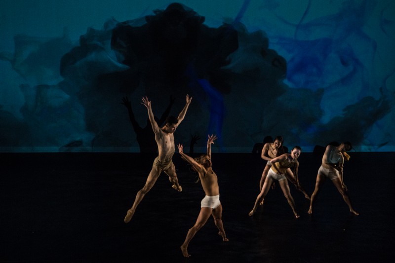 i KADA Contemporary Dance Company is looking for dancers for a video shoot