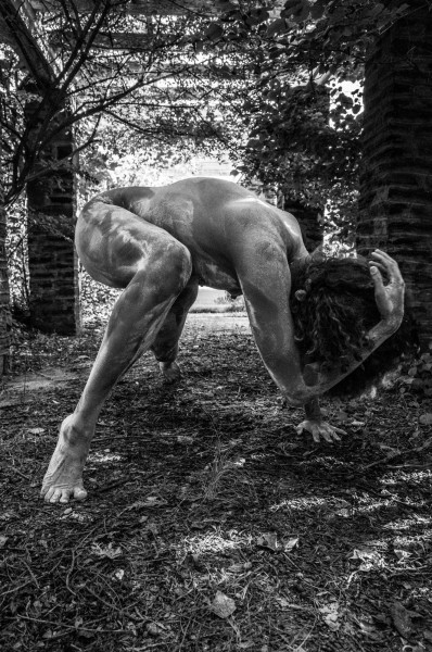 STEPHANIE BATTEN BLAND 