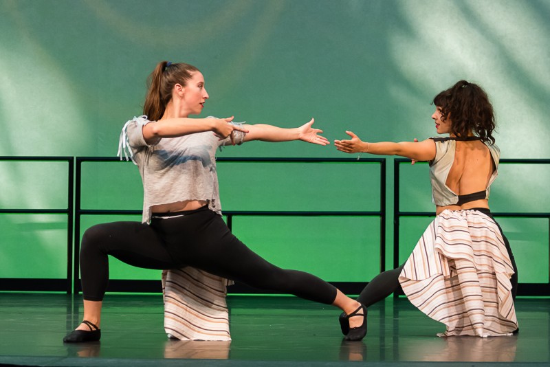 Experienced Dancers for Dance Theater Performance