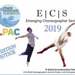 2019 audition artwork