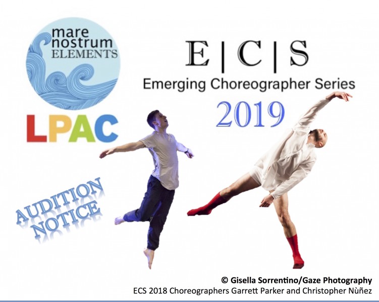 ECS 2019 audition artwork