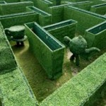 PRODUCTION MANAGER JOB 