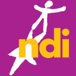 The NDI logo: letters N,D, and I superimposed on the outline of a figure whose shadow is a star.