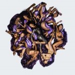 Company Management Internship with The Black Iris Project