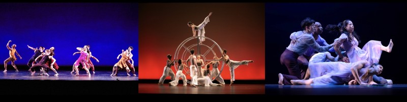 Carolyn Dorfman Dance in A Dance By Chance in the Park