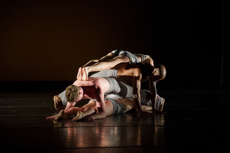 Interior Designs by Carolyn Dorfman Dance