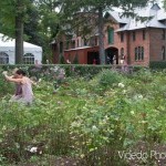 Rose Garden: Liberty Hall Dance Festival