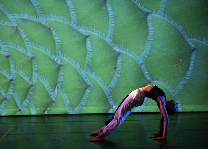 Sofia Ameglio at Pathways & Architecture