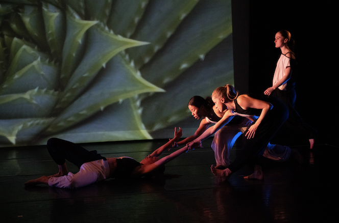 Pathways & Architecture