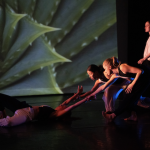 Pathways & Architecture