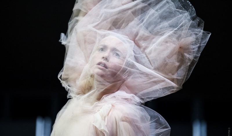 Fur & Tulle (2014) Photo by Maria Baranova