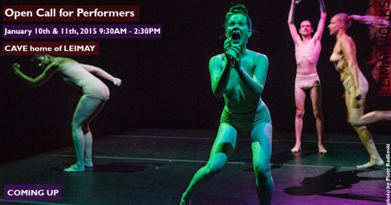 LEIMAY Works: Open Call for Performers