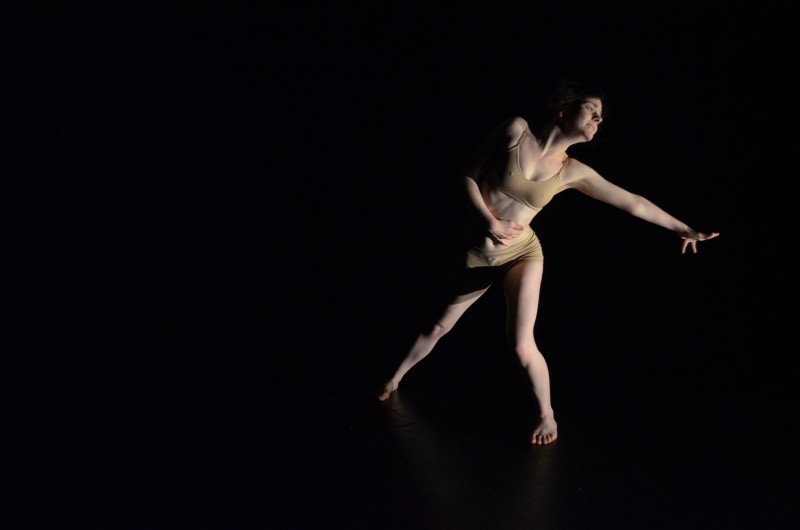 CALL FOR ARTISTS: looking for emerging Choreographers/Companies for SLD Winter Season Performance Opportunity 