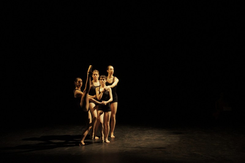 CALL FOR CHOREOGRAPHERS/COMPANIES